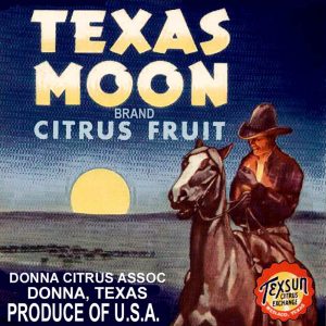 Fruit Crate Labels transferred onto tiles