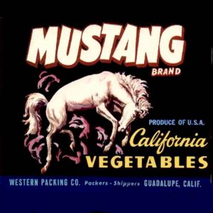 Fruit Crate Labels transferred onto tiles