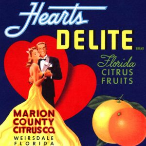 Fruit Crate Labels transferred onto tiles