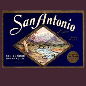 Fruit Crate Labels transferred onto tiles