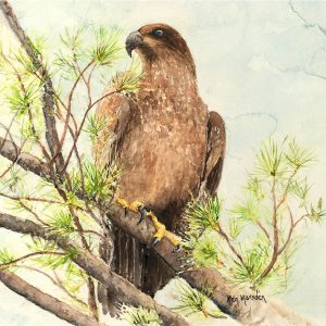 Animal and Bird Paintings transferred onto tiles