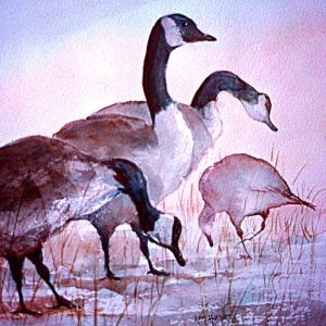 Animal and Bird Paintings transferred onto tiles