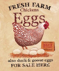 Rooster painting to be transferred on tiles