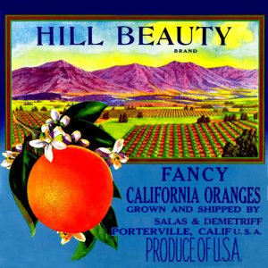 Fruit Crate Labels transferred onto tiles