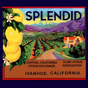 Fruit Crate Labels transferred onto tiles