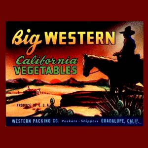 Fruit Crate Labels transferred onto tiles