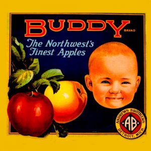 Fruit Crate Labels transferred onto tiles