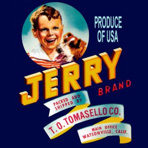 Fruit Crate Labels transferred onto tiles