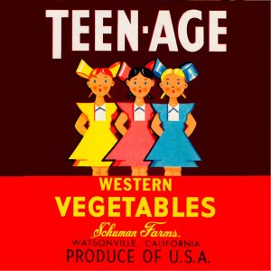 Fruit Crate Labels transferred onto tiles