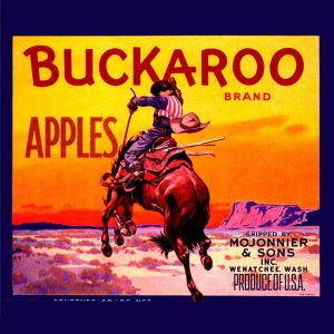 Fruit Crate Labels transferred onto tiles