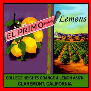 Fruit Crate Labels transferred onto tiles