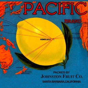 Fruit Crate Labels transferred onto tiles