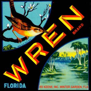 Fruit Crate Labels transferred onto tiles