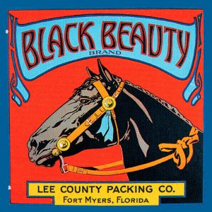 Fruit Crate Labels transferred onto tiles