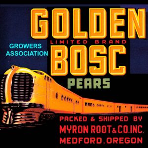 Fruit Crate Labels transferred onto tiles