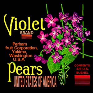 Fruit Crate Labels transferred onto tiles