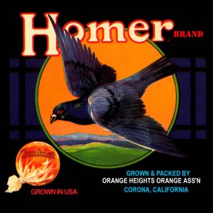 Fruit Crate Labels transferred onto tiles