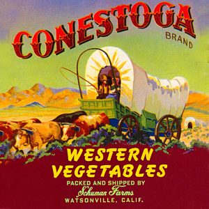 Fruit Crate Labels transferred onto tiles