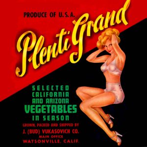 Fruit Crate Labels transferred onto tiles