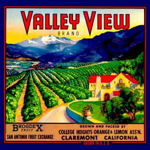 Fruit Crate Labels transferred onto tiles