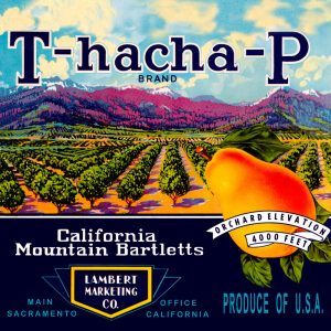 Fruit Crate Labels transferred onto tiles