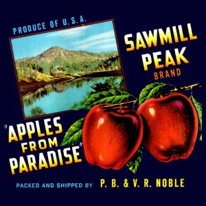 Fruit Crate Labels transferred onto tiles