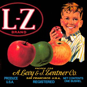 Fruit Crate Labels transferred onto tiles