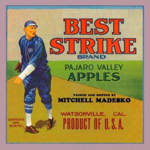 Fruit Crate Labels transferred onto tiles