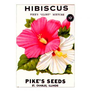 Vintage Seed Packets transferred onto tiles