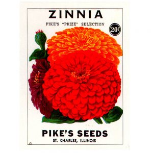 Vintage Seed Packets transferred onto tiles