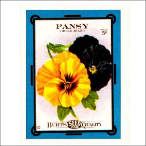 Vintage Seed Packets transferred onto tiles