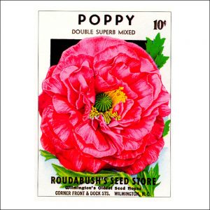 Vintage Seed Packets transferred onto tiles