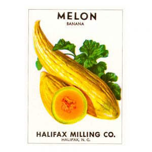 Vintage Seed Packets transferred onto tiles