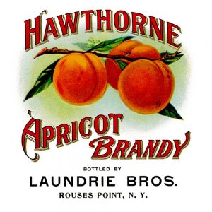 Grocery Labels transferred onto tiles