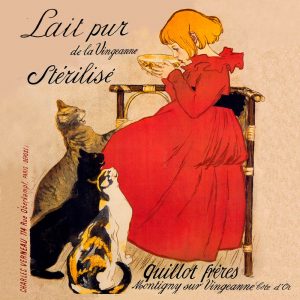 Grocery Labels transferred onto tiles