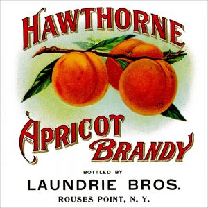 Grocery Labels transferred onto tiles