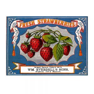 Grocery Labels transferred onto tiles