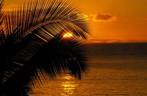 Water scenes transferred onto tiles to create rile murals