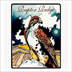 Wine labels transferred onto tiles