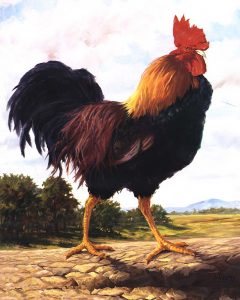 Rooster painting to be transferred on tiles