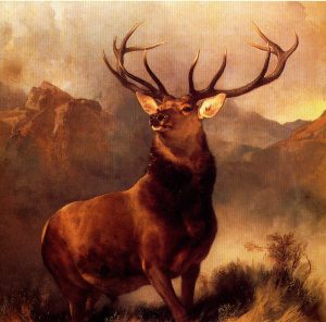 Animal and Bird Paintings transferred onto tiles