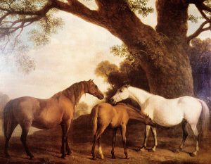 Animal and Bird Paintings transferred onto tiles