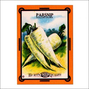 Vintage Seed Packets transferred onto tiles