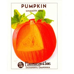 Vintage Seed Packets transferred onto tiles