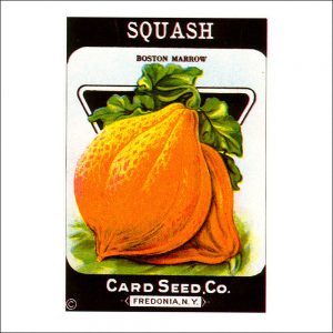 Vintage Seed Packets transferred onto tiles