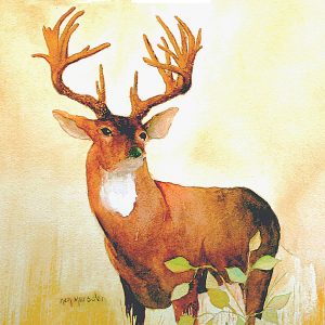 Animal and Bird Paintings transferred onto tiles