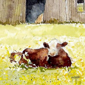 Animal and Bird Paintings transferred onto tiles