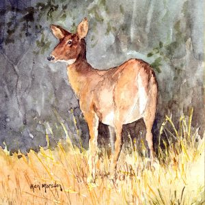 Animal and Bird Paintings transferred onto tiles