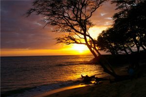 Water scenes transferred onto tiles to create rile murals